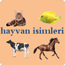 Animal names in Turkish