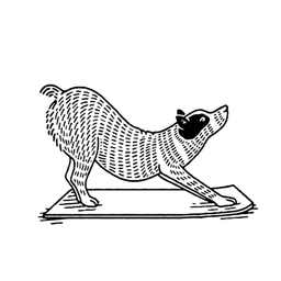 Find What Feels Good Yoga