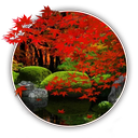 Zen Garden -Fall-
