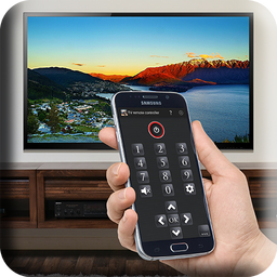 Remote for TV