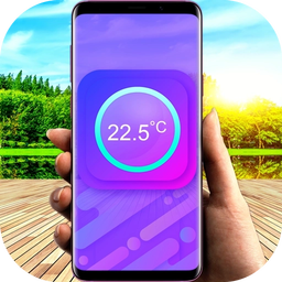 Thermometer for ambient temperature