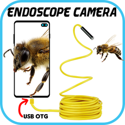Endoscope Camera