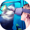 Collection of VR Videos