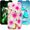 Best Of QHD Wallpapers