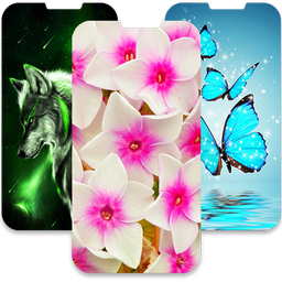 Best Of QHD Wallpapers