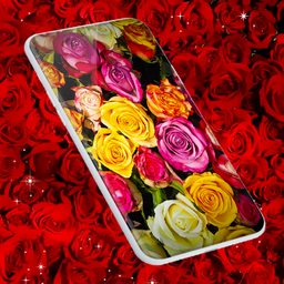 Red Rose Live Wallpaper