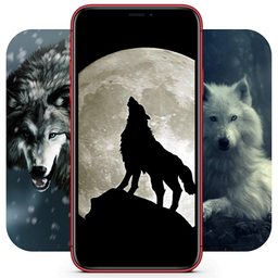 Wolf Wallpapers  | Pictures