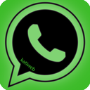 WhatsApp Pro tutorial