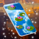 Water Lily Live Wallpaper