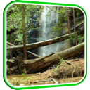 Waterfall in Forest LWP