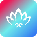 Lotus Lantern