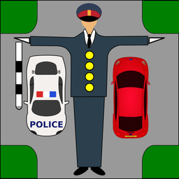 Driver Test: Traffic Guard