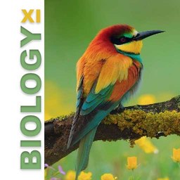 Biology XI