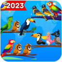 Puz Sort Birds 2023