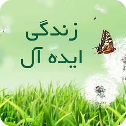 زندگی ایده آل