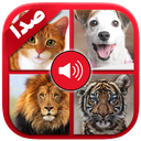 صدای حیوانات و پرندگان