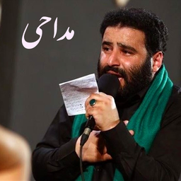 مداحی جدید محرم سید مهدی میرداماد