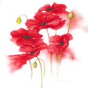 flowerplant