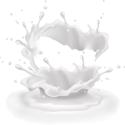 dairy