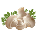mushroom