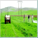 مضرات سم پاشی