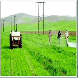 مضرات سم پاشی