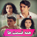 سریال ترکی خواهران برادران