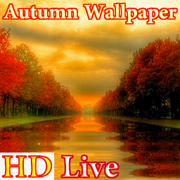 HD Autumn Live Wallpaper