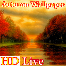 پس زمینه زنده پاییز HD Autumn