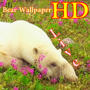 HD Bear Live Wallpaper
