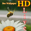 پس زمینه زنده زنبور عسل HD Bee
