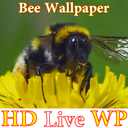 پس زمینه زنده زنبور عسل HD Bee
