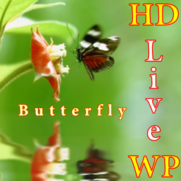 پس زمینه زنده پروانه HD Butterfly