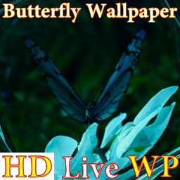 پس زمینه زنده پروانه HD Butterfly