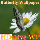 پس زمینه زنده پروانه HD Butterfly