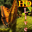 HD Butterfly Live Wallpaper
