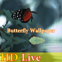 HD Butterfly Live Wallpaper