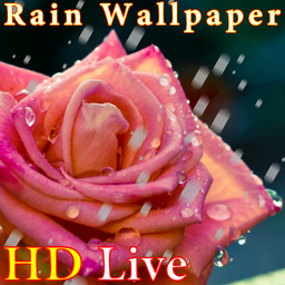 پس زمینه زنده باران HD Rain