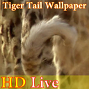پس زمینه زنده دم پلنگ HD Tiger Tail