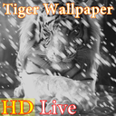 پس زمینه زنده ببر HD Tiger