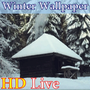 پس زمینه زنده زمستان HD Winter