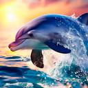 Dolphin Wallpapers