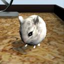 Hamster3D