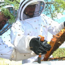 آموزش حرفه ای زنبورداری