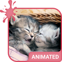 Kittens Keyboard Custom Theme
