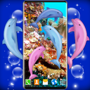 Dolphins Ocean Live Wallpaper