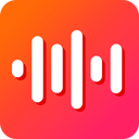 Voice Recorder Pro - XVoice