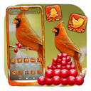 Cardinal Bird Launcher Theme