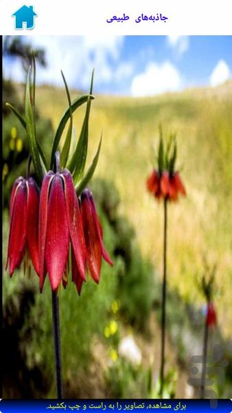 سیب سمیرم - Image screenshot of android app