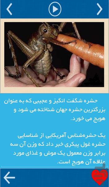 شگفتیها(تصویر+توضیح) - عکس برنامه موبایلی اندروید